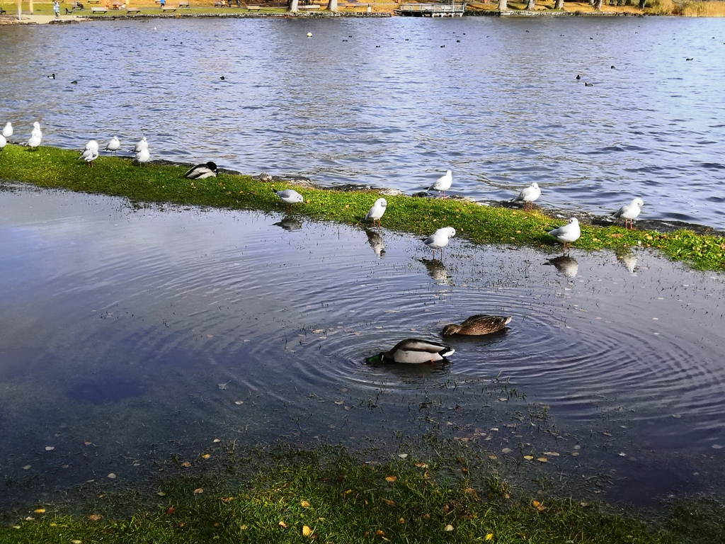 Unbenannte Anlage 00049