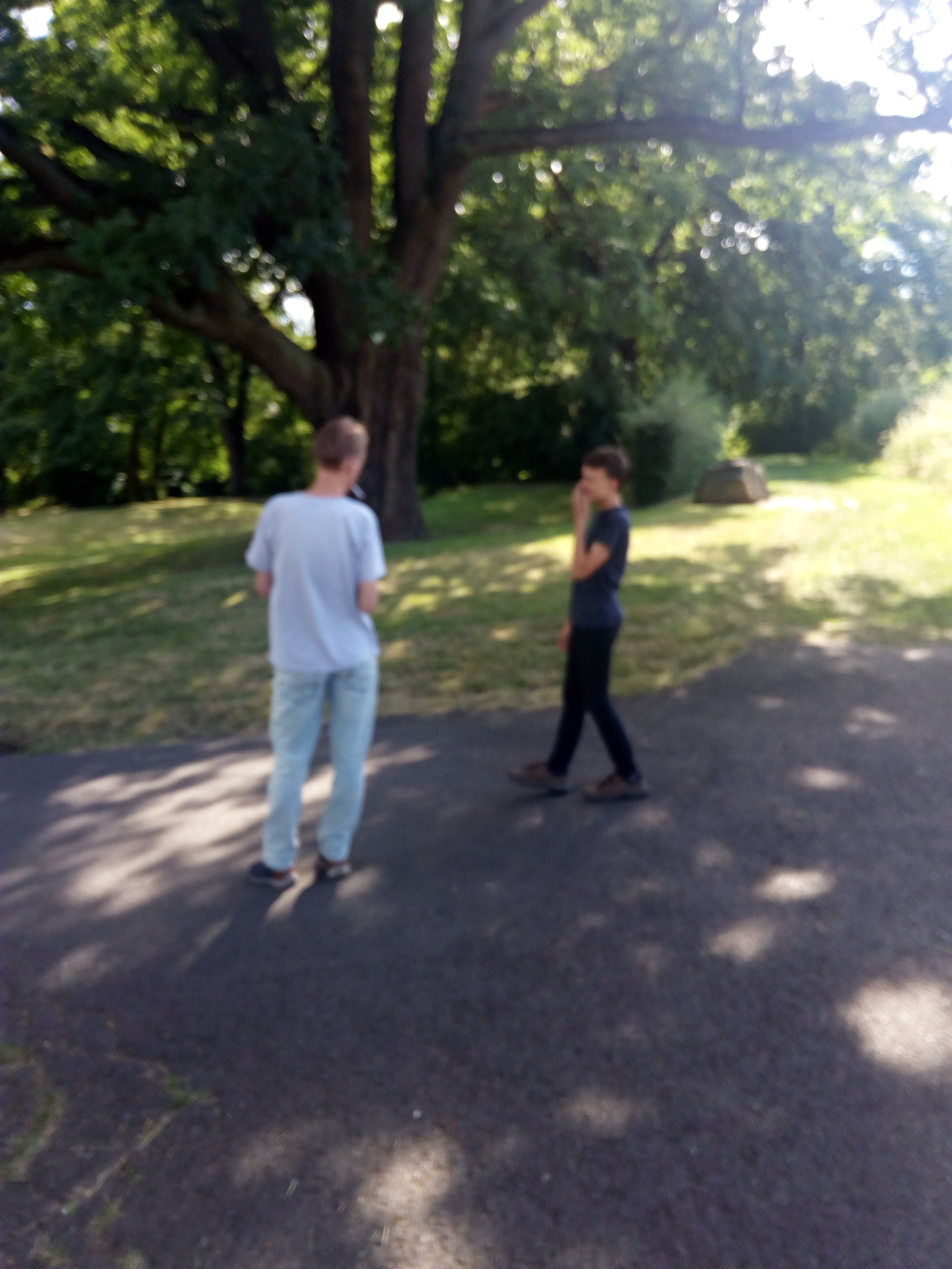 IMG 20190704 164828