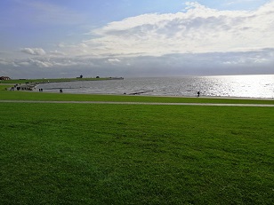 IMG 20201006 141150