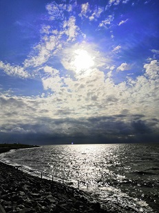 IMG 20201006 141943