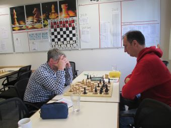 IMG 5324
